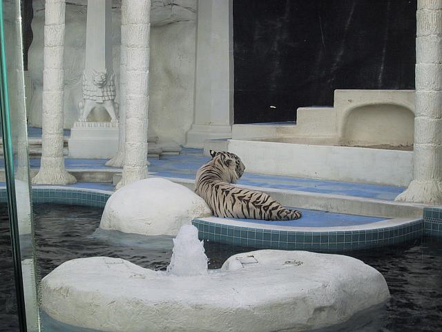 IMG 0078