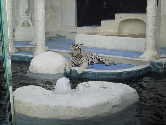 IMG 0089