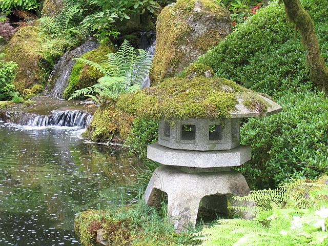 IMG 3102 001