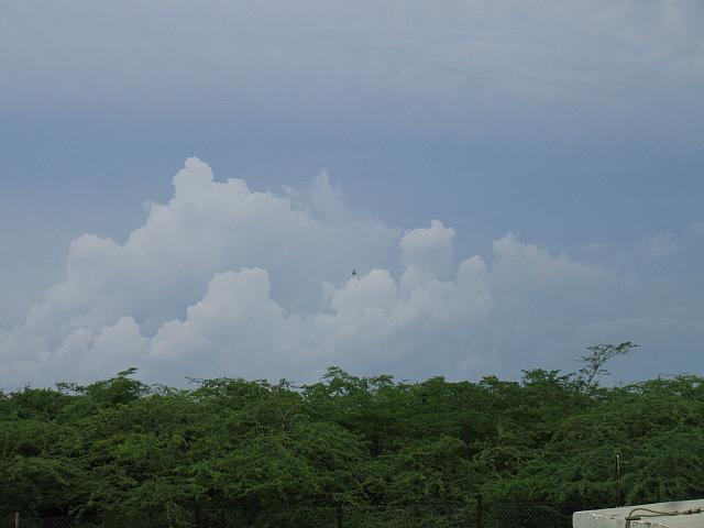 IMG 2741