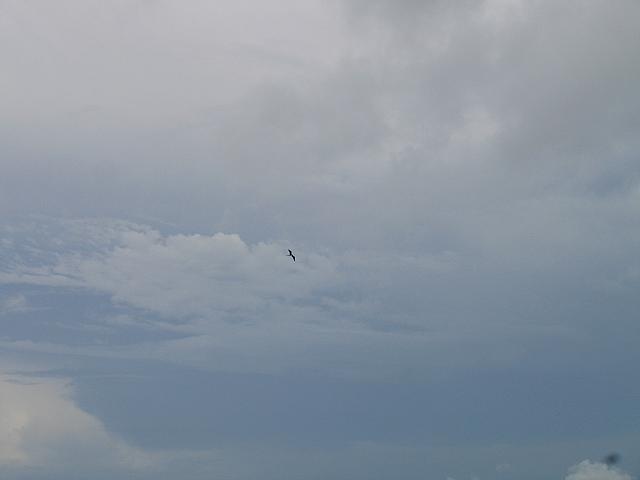 IMG 2771