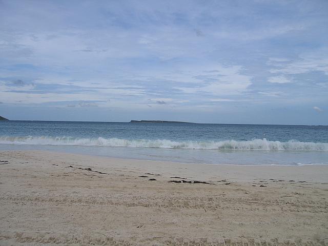 IMG 2775
