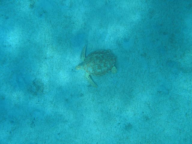 IMG 2793