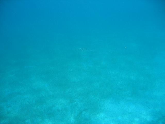 IMG 2794