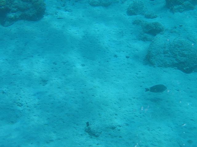 IMG 2797