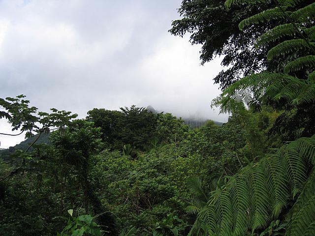 IMG 2828
