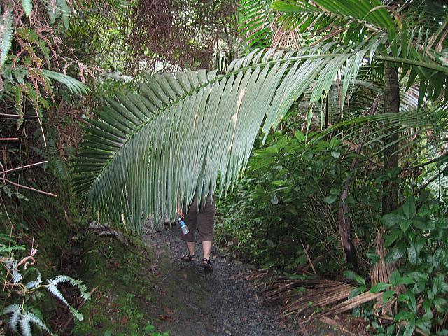 IMG 2842