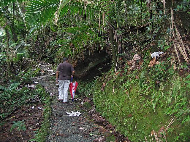 IMG 2848