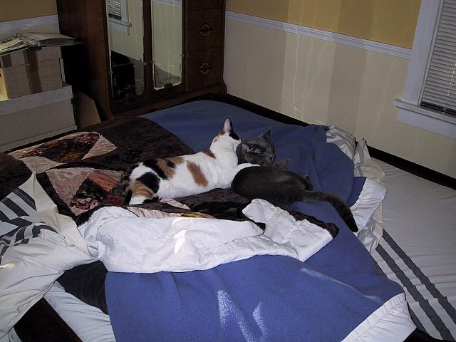 IMG 2268