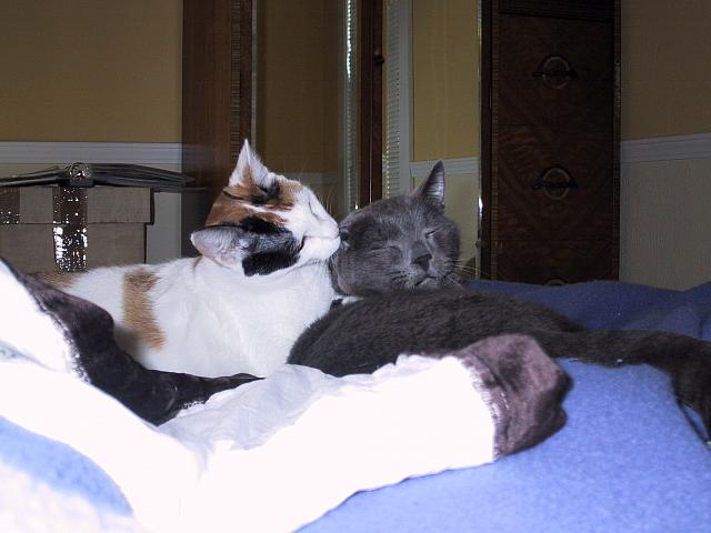 IMG 2269