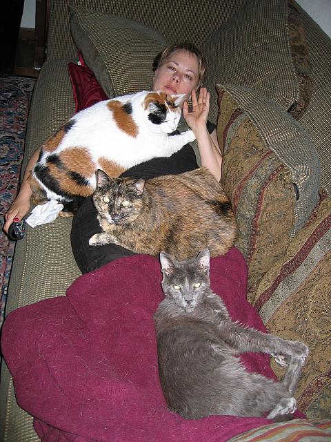 IMG 2657