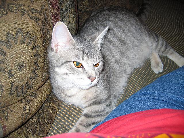 IMG 2955