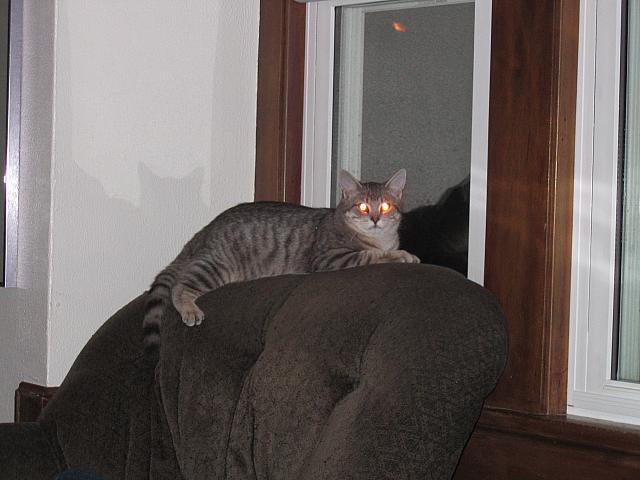 IMG 2958