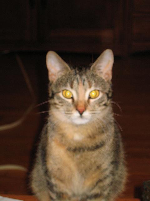 IMG 3014