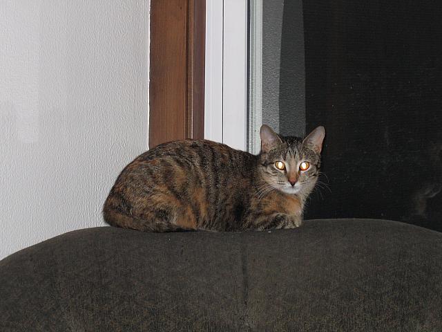 IMG 3016