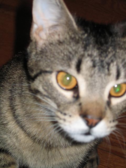 IMG 3017
