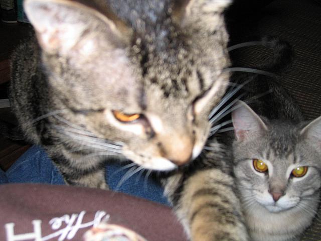 IMG 3020 001