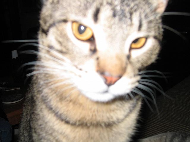 IMG 3021 001