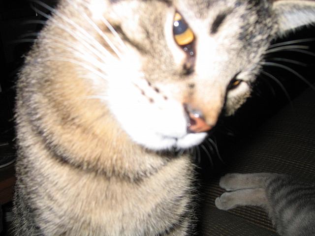 IMG 3022 001