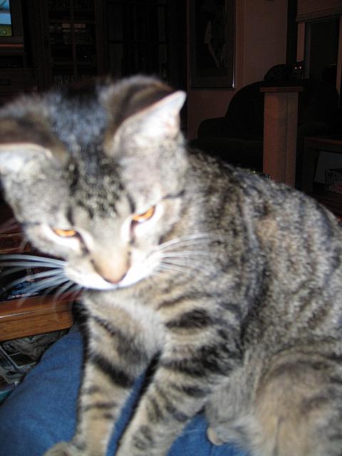 IMG 3023 001