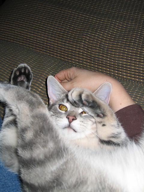 IMG 3030 001