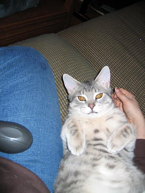 IMG 3031 001