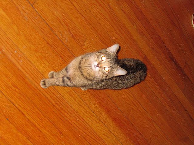 IMG 3033