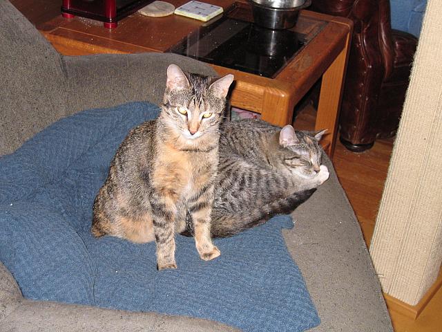 IMG 3035
