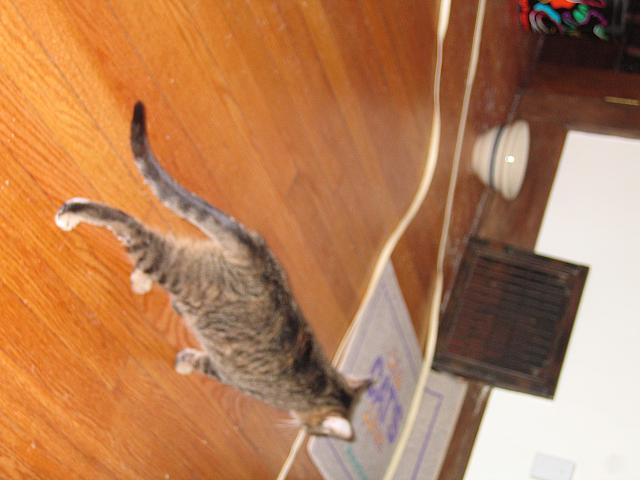 IMG 3036