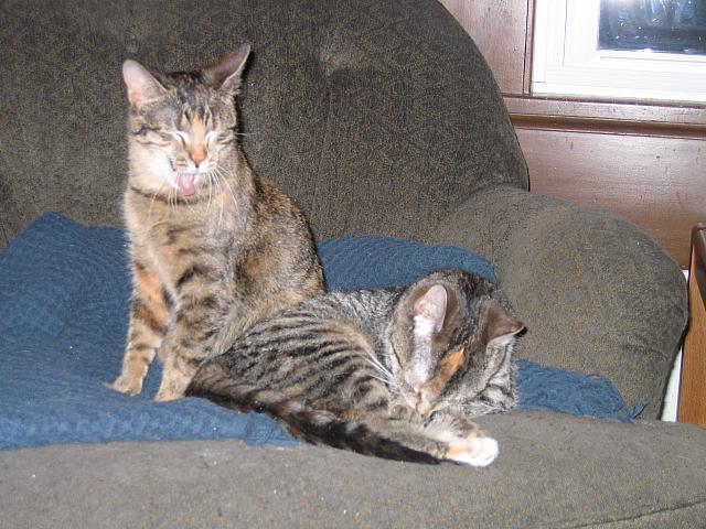 IMG 3037