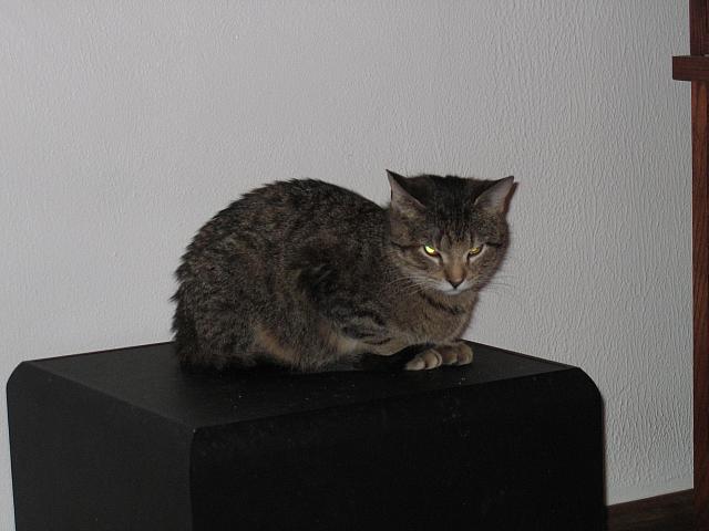 IMG 3038