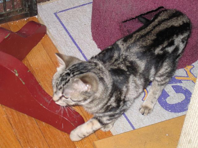 IMG 1874