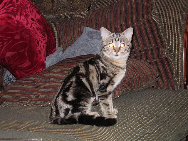IMG 1912