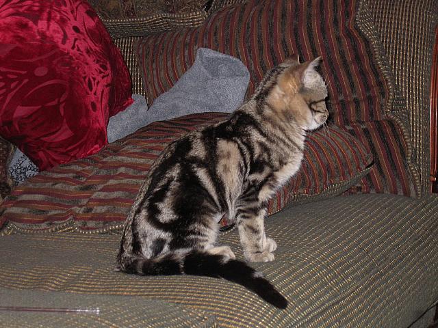 IMG 1913