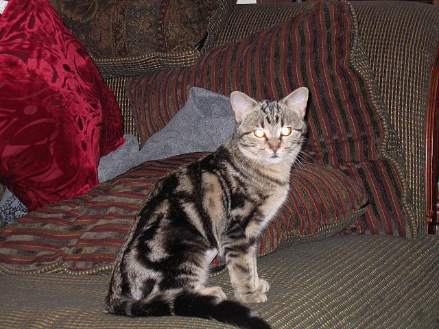 IMG 1914