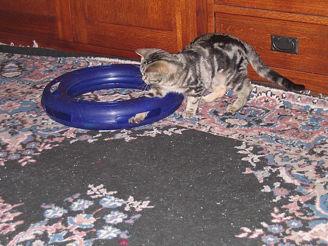 IMG 1915