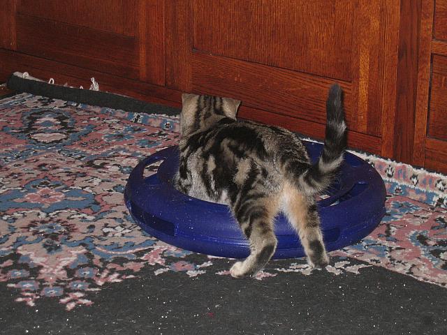 IMG 1916