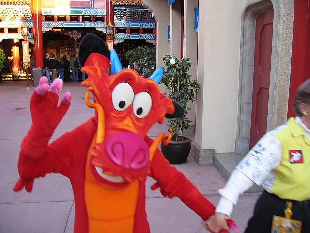IMG 1980