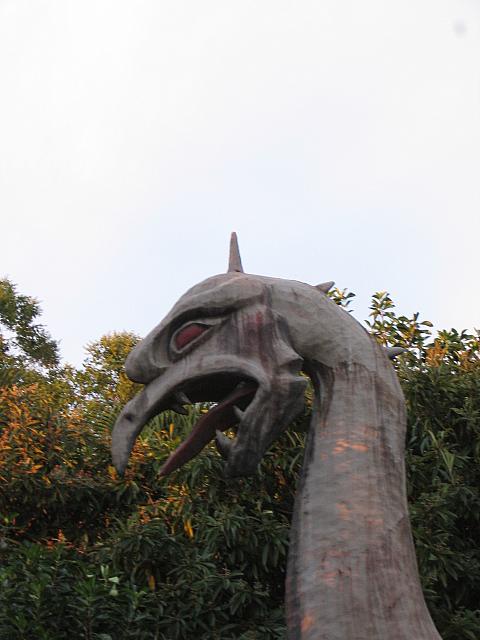 IMG 1982