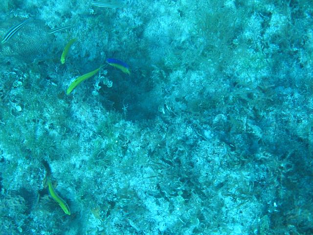 IMG 2060
