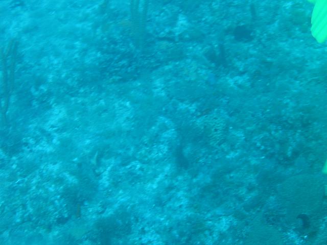 IMG 2061