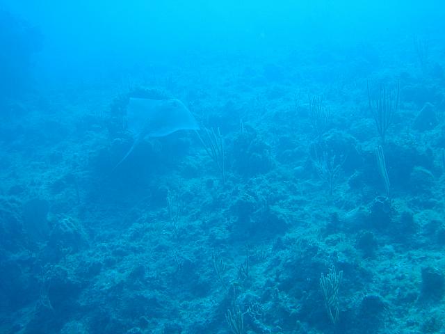IMG 2067