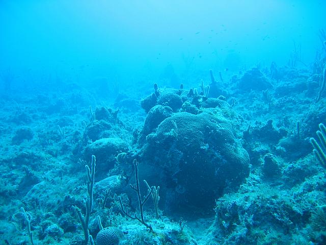 IMG 2074
