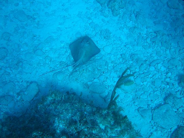 IMG 2076