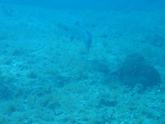IMG 2081