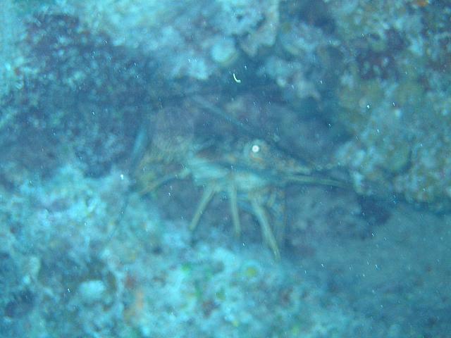 IMG 2085