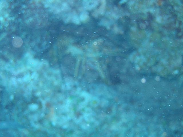 IMG 2086