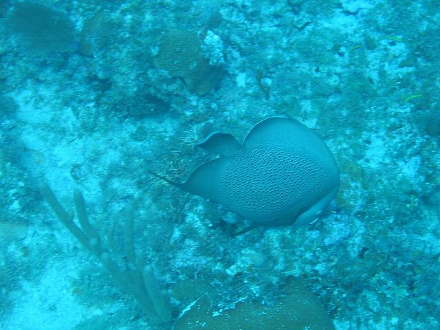 IMG 2087