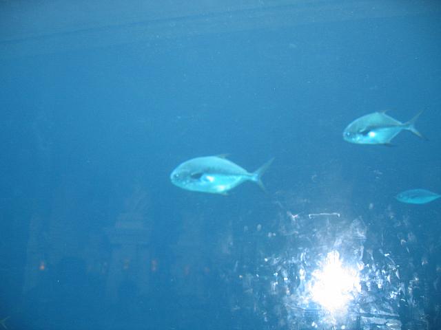 IMG 2160