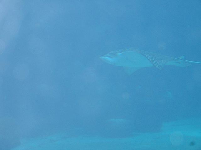 IMG 2165